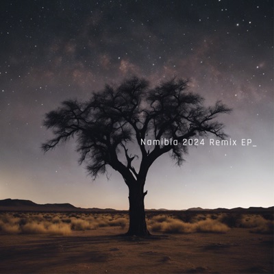 Namibia 2024 Remix EP - EP