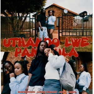 Uthando Lwe Pantsula (feat. M4SHY) - Single