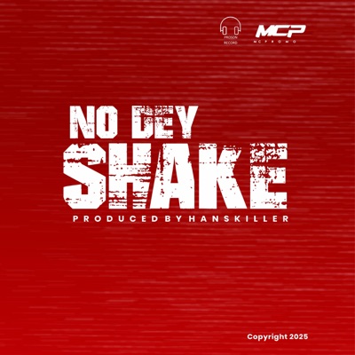 No Dey Shake - Single
