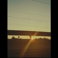 dutustmirweh - Single - Trace