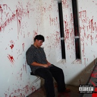 Scars Written In Red - zaniiel