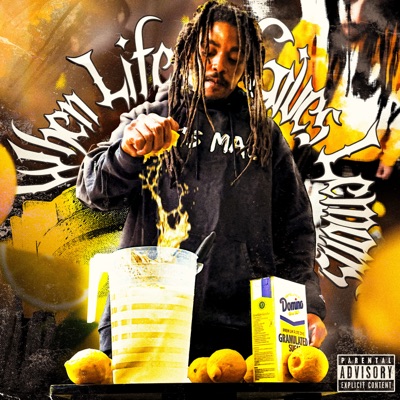 WHEN LIFE GIVES LEMONS