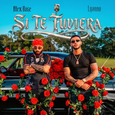 Si Te Tuviera