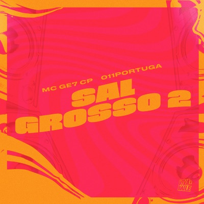 SAL GROSSO 2 - Single