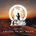 Voices In My Head