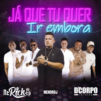 Já Que Tu Quer Ir Embora - Single