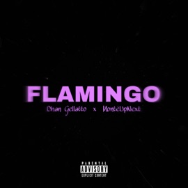 FLAMINGO (feat. Montèupnext) Chan Gellatto