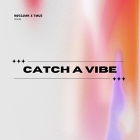 Catch A Vibe (feat. TMUZ) - Single - RØS3JMK