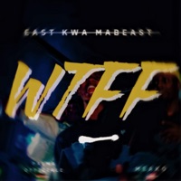 WTFF (feat. Callmemeako) - Single - Palma_Officiale