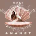 amanet