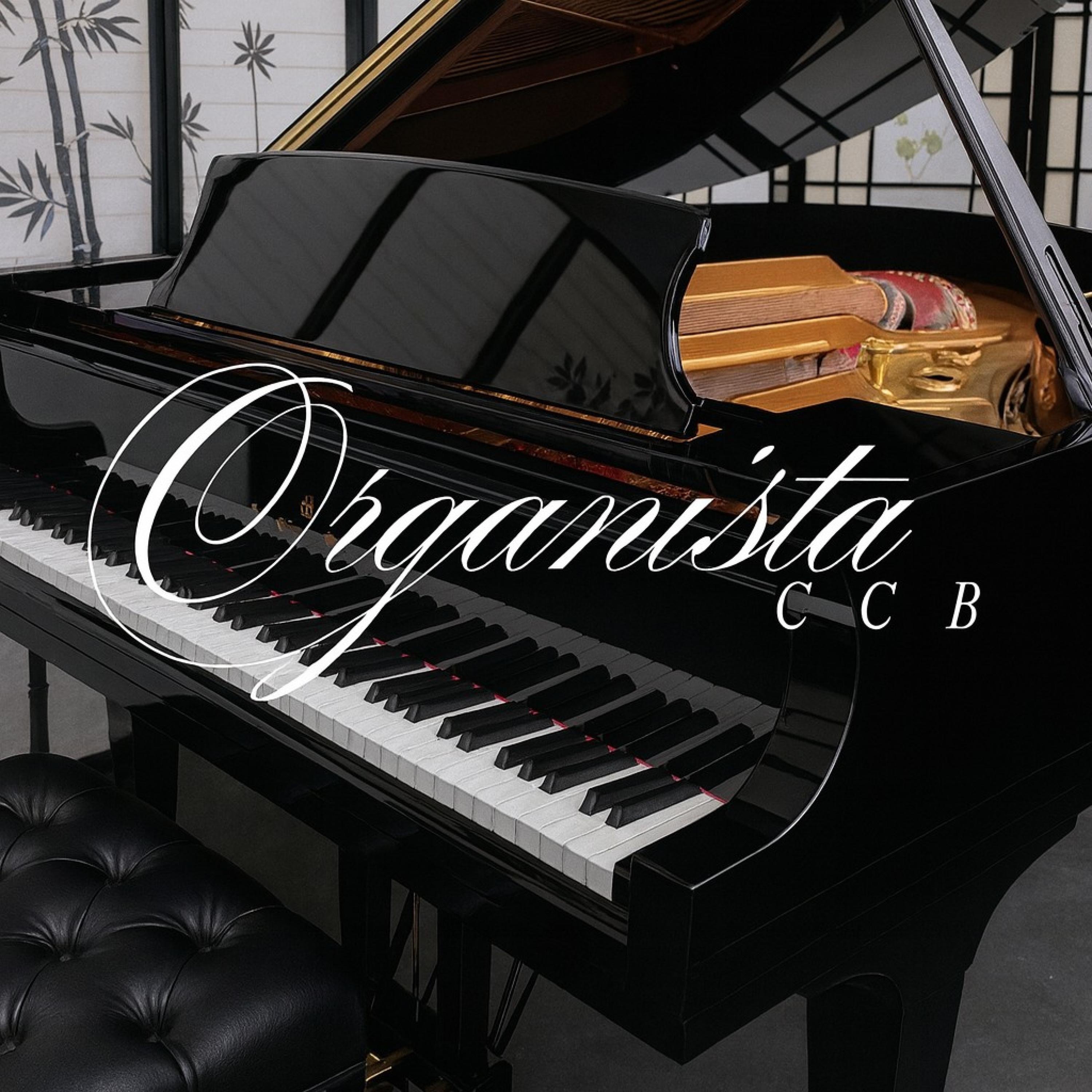 Seguro estou... - Single