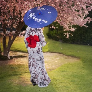 桜の下で魂を目覚めさせる箏の禅音楽