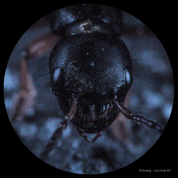 Like Ants EP - Single