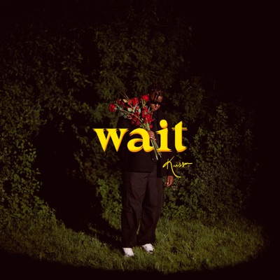 Wait (Remix) - Single