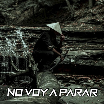 No voy a parar - Single