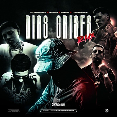 Días Grises 1.0 (feat. Young Garcia) [Remix] - Single