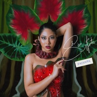 Sou do Norte - Single - Zaynara