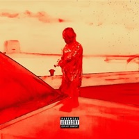 SHELL - Single - uzibby