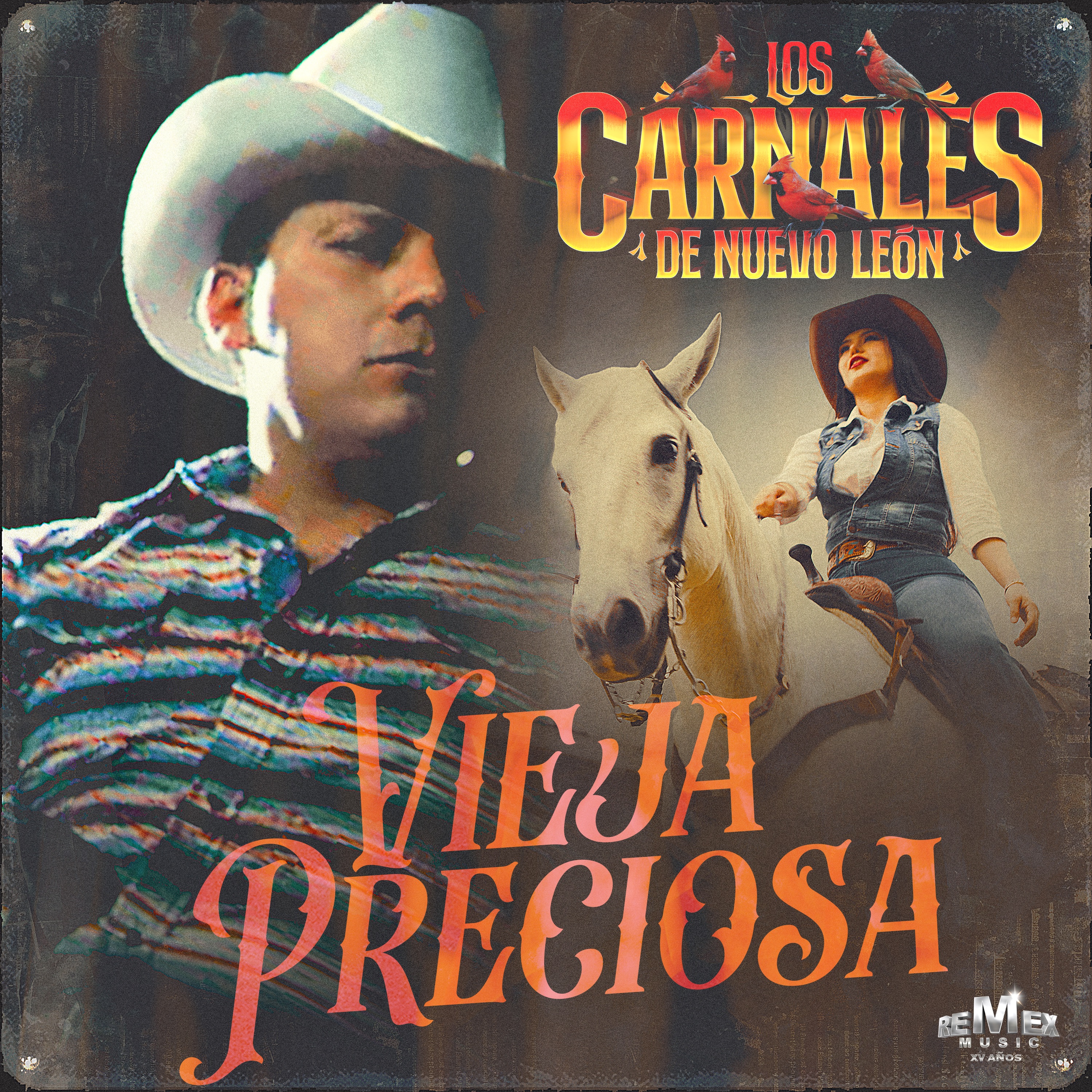 Vieja Preciosa - Single