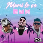 MAMI LO SÉ (RMX) (feat. Blackk23 & Mago NP) - Single