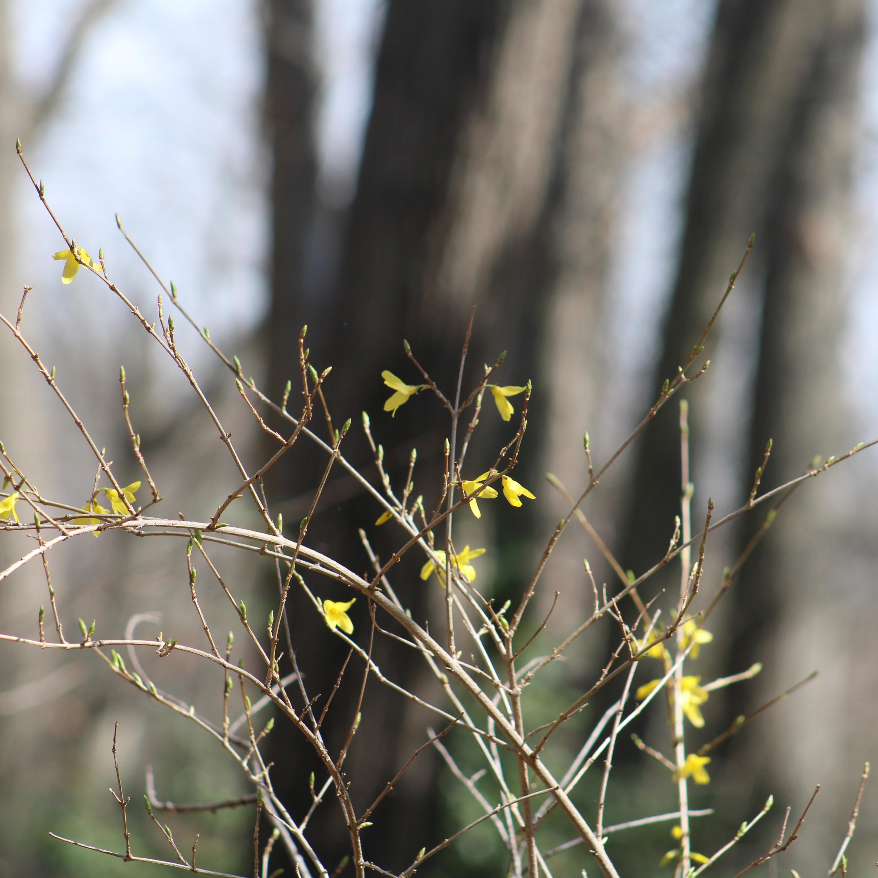 Radio Sama - Standing Strong Through The Storms-01