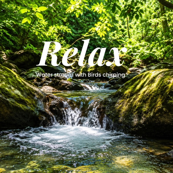 Forest Stream Serenity