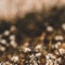 Madison Park - healing tribe lyrics