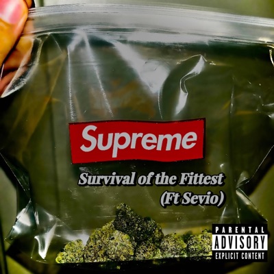 Survival of the Fittest (feat. Sevio) - Single