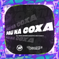 Pau Na Coxa - Single - Dj Guilherme Duarte & MC Colibri