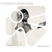 1000 Hearts - Single - DJ Qness & Sikka Musiq