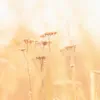 Traces of Life