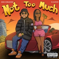 Not Too Much - Single - Hub Corleone & K. Lajuan