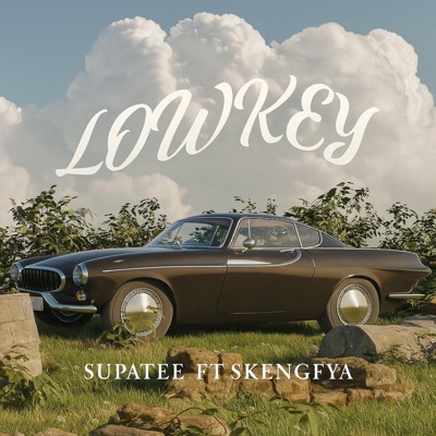 Lowkey (feat. skengfya) - Single