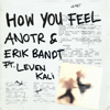 ANOTR & Erik Bandt - How You Feel (feat. Leven Kali) artwork