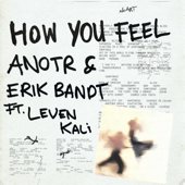 How You Feel (feat. Leven Kali) - ANOTR &amp; Erik Bandt Cover Art