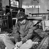 Couldn't See - Single - josuA