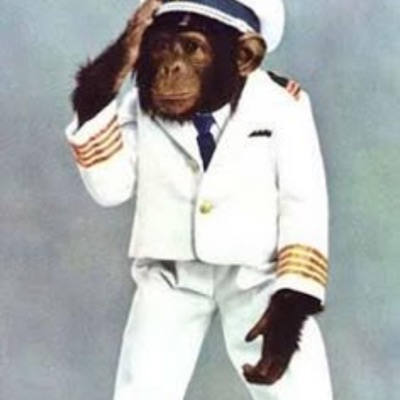 Why (feat. thtboyzay) - Single