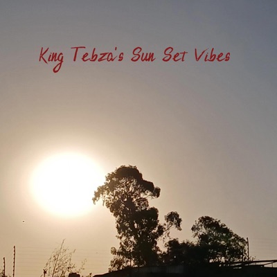 Sun Set Vibes - Single