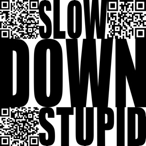 Slow Down Stupid by Bogdan Raczynski