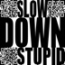 Slow Down Stupid by Bogdan Raczynski
