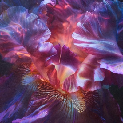 Achieving Your Goals - 20 Hz (Beta) - Single