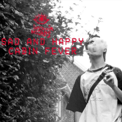 sad and happy/cabin fever. - Single