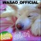 Nempute vana - ねんぷてばな - WASAO_OFFICIAL lyrics