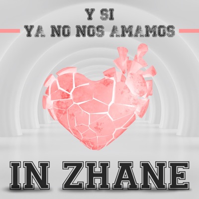 Y si ya no nos amamos - Single