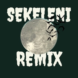 Sekeleni (feat. ExTrA & Dala Fam) [Remix] Karci Pharz