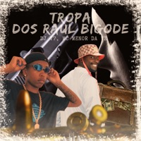 Tropa dos Raul Bigode (feat. UPF Produções) - Single - MC Menor da VZ & DJ V7