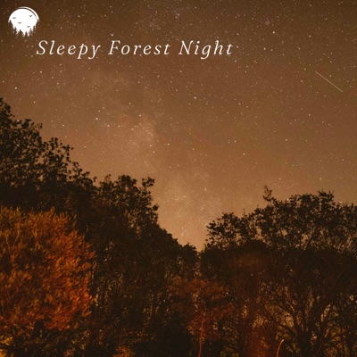 Sleepy Forest Night