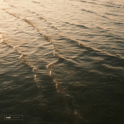 Lose Control - Single