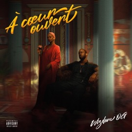 J'accepte (feat. King Arthur FB) WIZDOM OG
