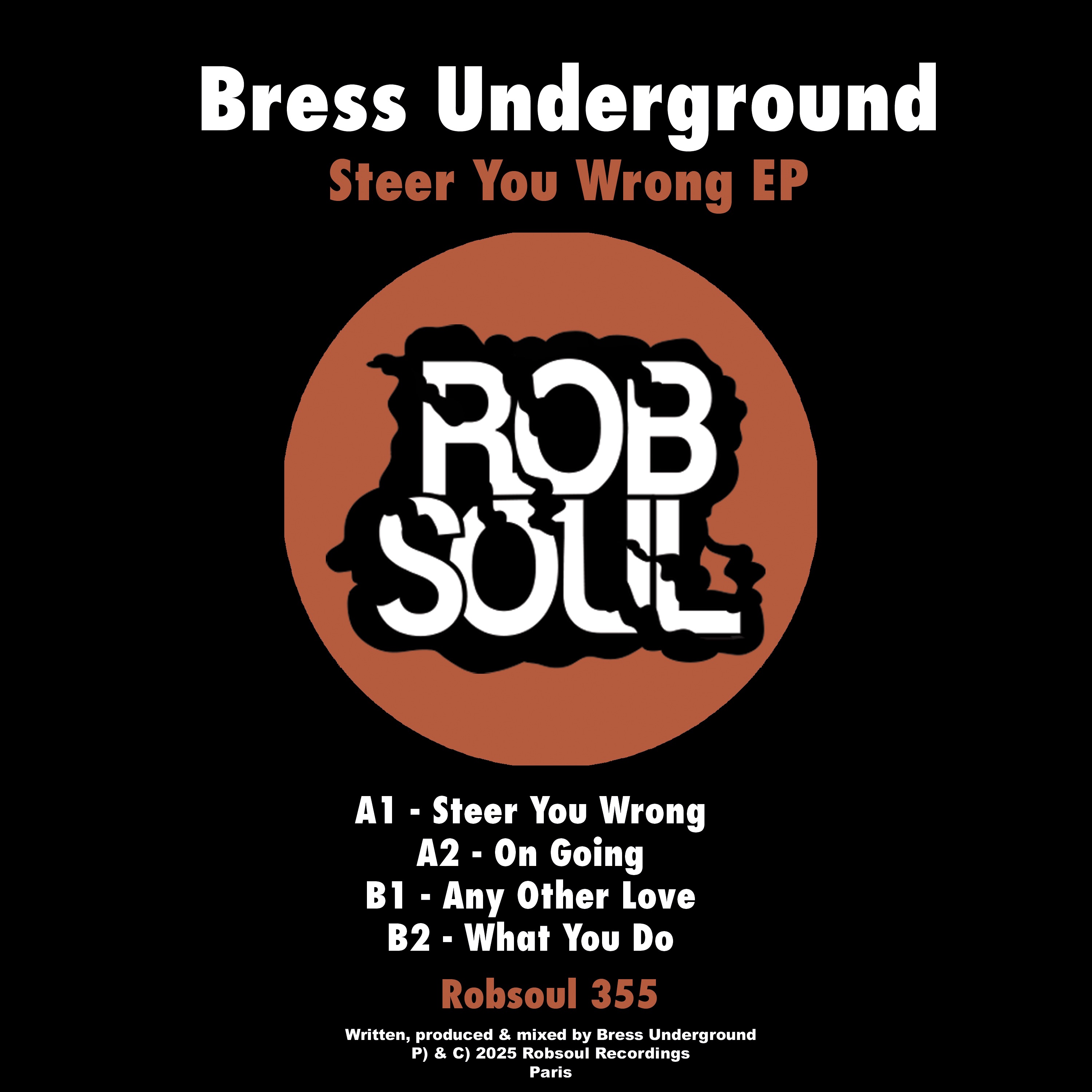 Steer You Wrong - EP